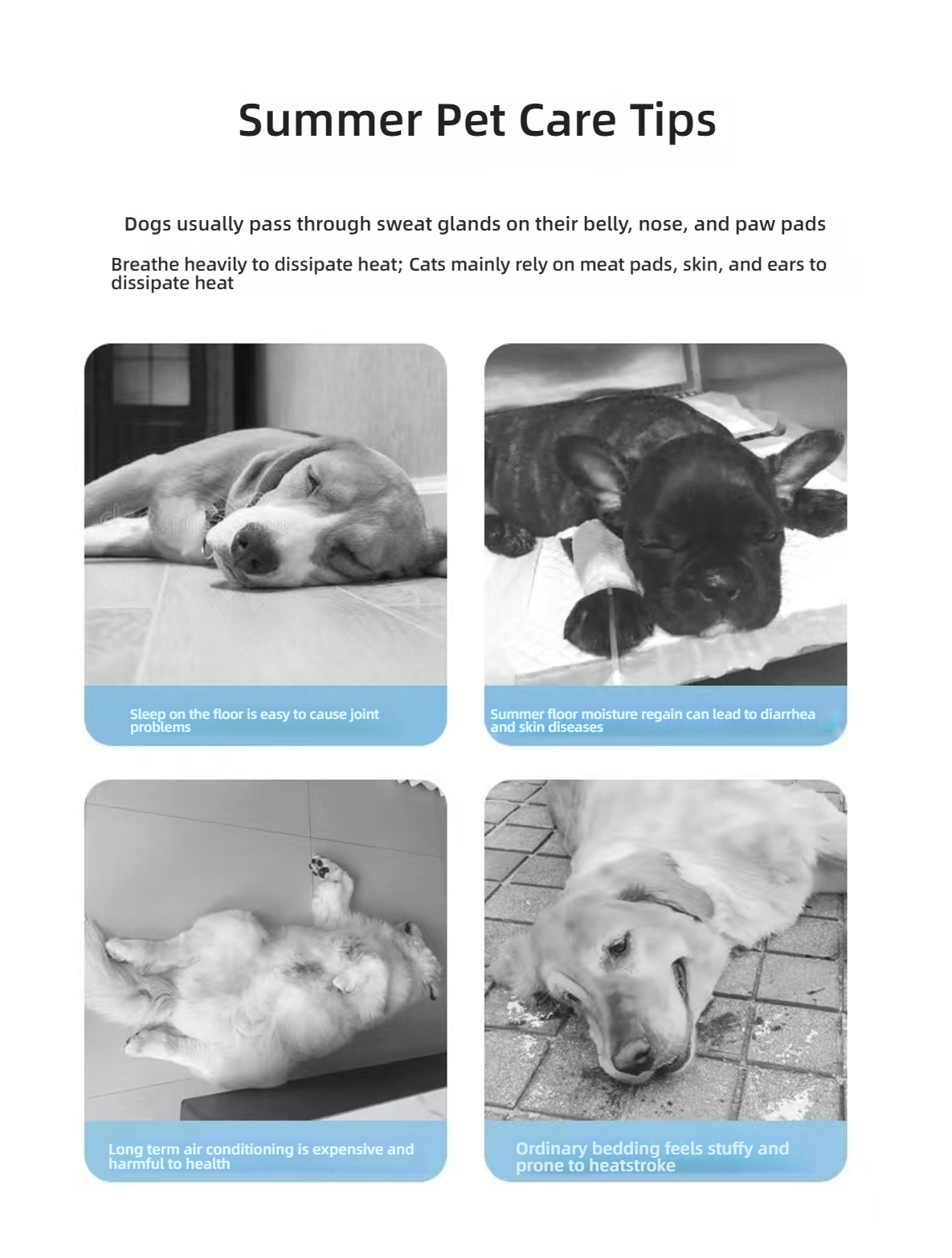 PetWoo Dog & Cat Cooling Pad